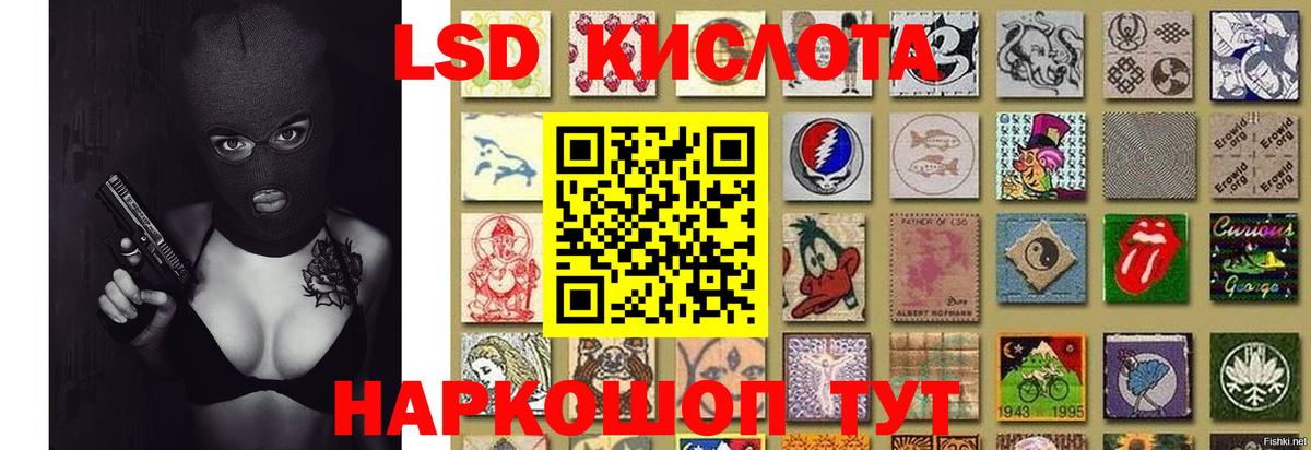 LSD-25 экстази кислота  Вход с VPN  LSD-25 экстази  Заинск  Лсд 25 экстази кислота 