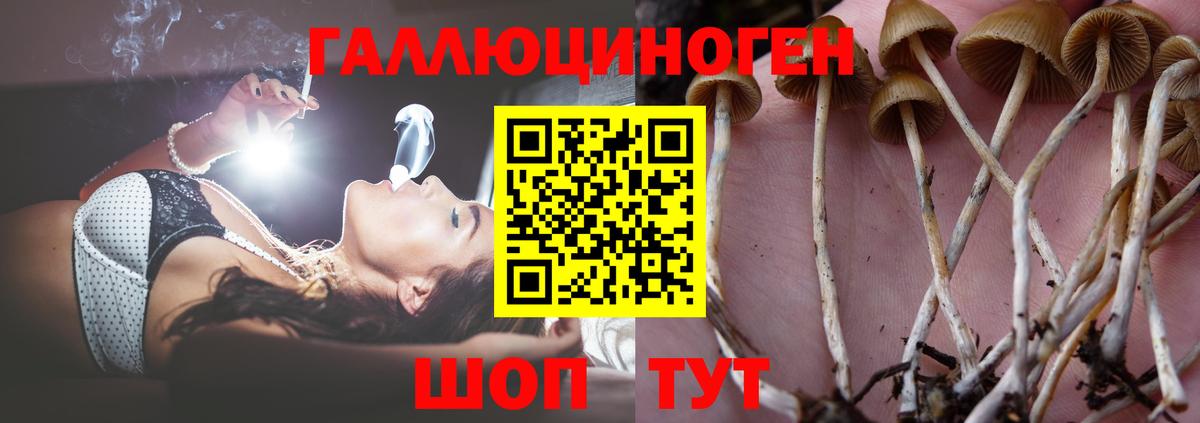 Заинск  Галлюциногенные грибы мухоморы  закладки  Вход с VPN 